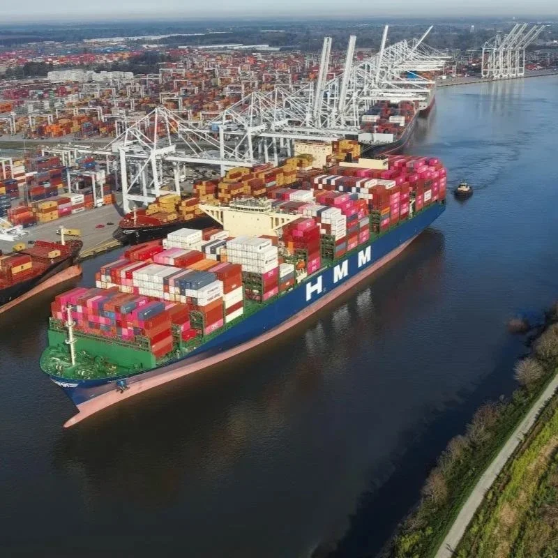Georgia Ports Economic Impact Jumps 7% in 2024