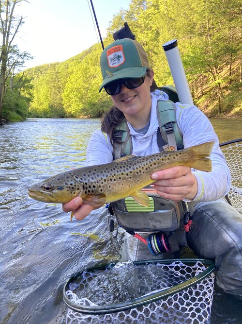 About — American Fly Fishing Company