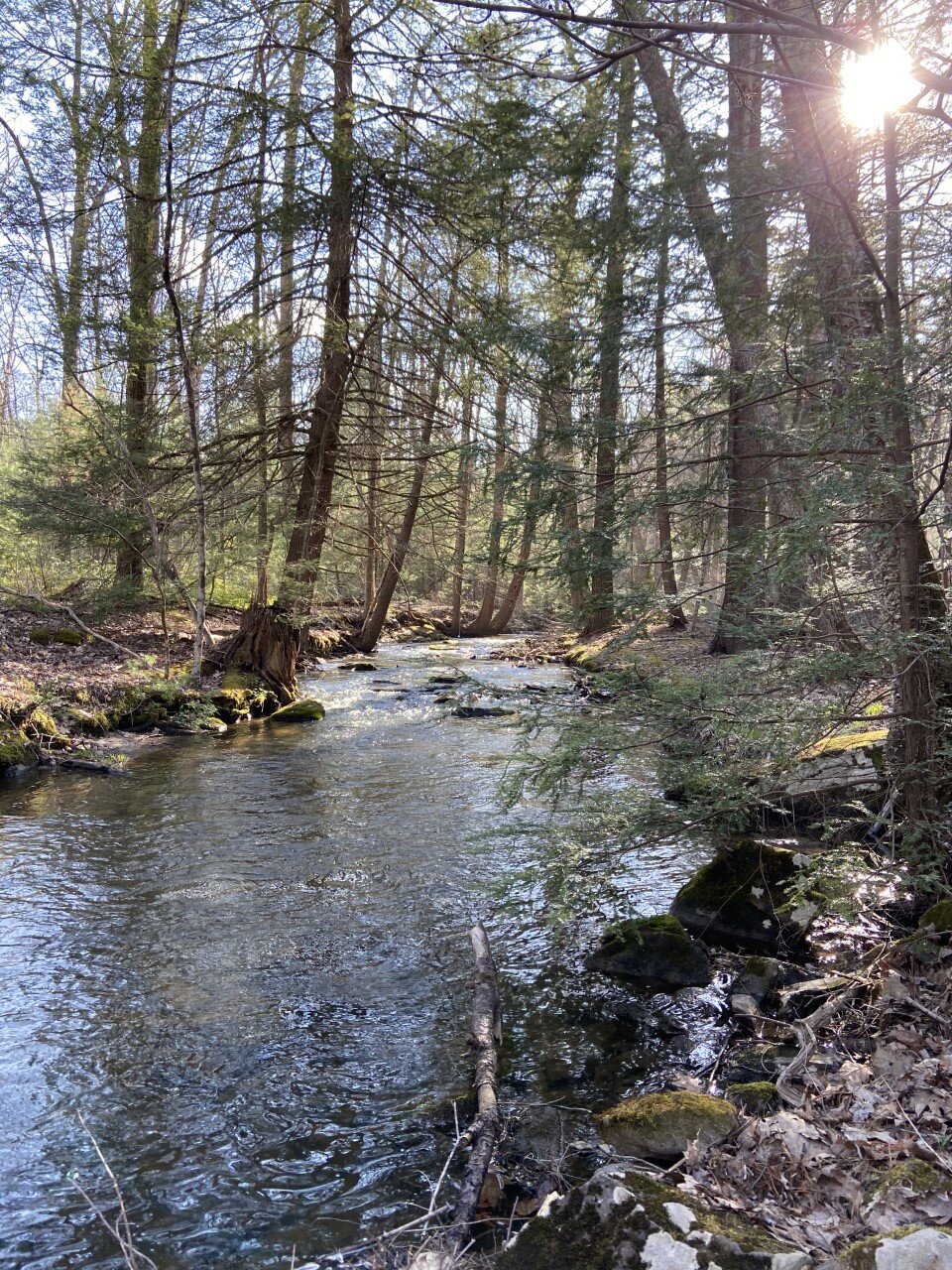 Creek7.jpg