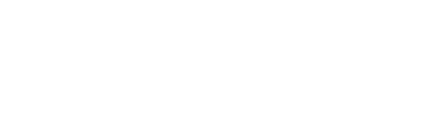 Brayfield Labradors