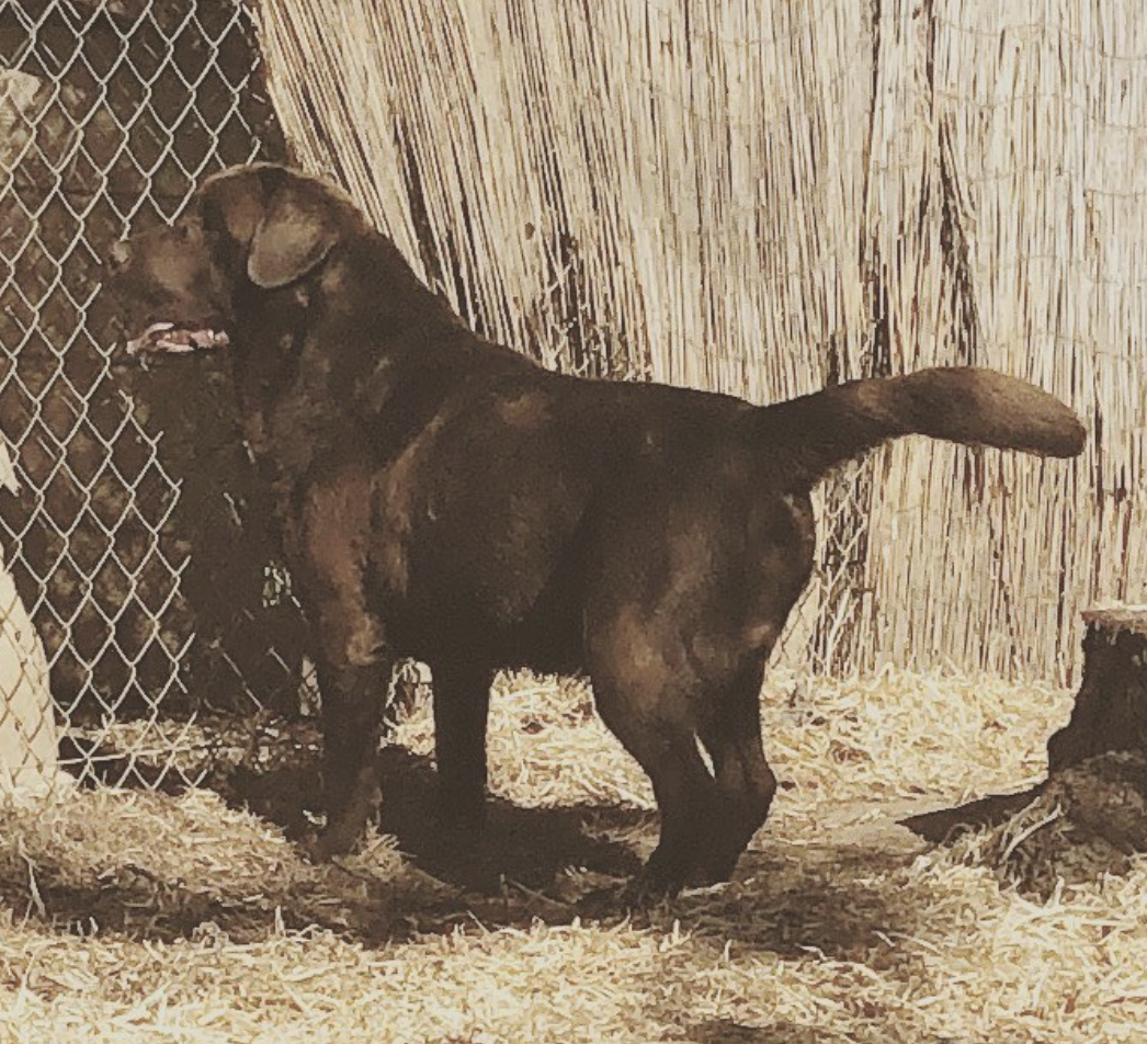 Screen Shot 2020-12-11 at 7.13.16 PM.png