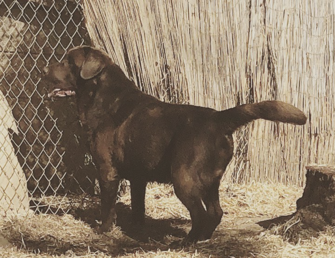 Screen Shot 2020-12-11 at 7.20.00 PM.png