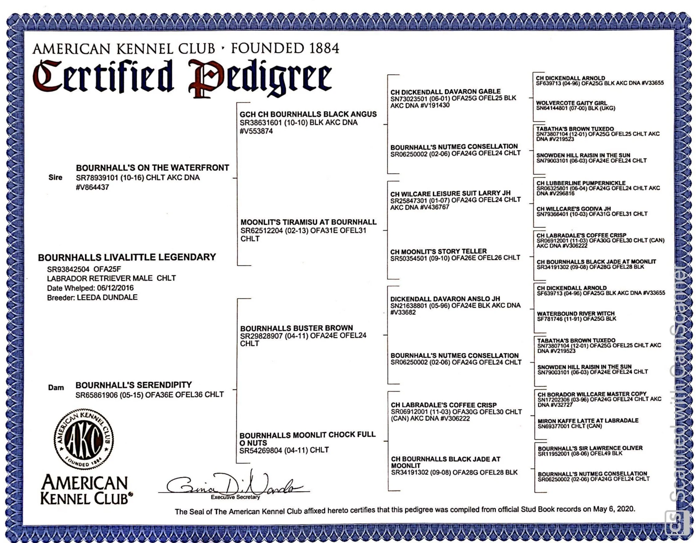 Ledger Pedigree