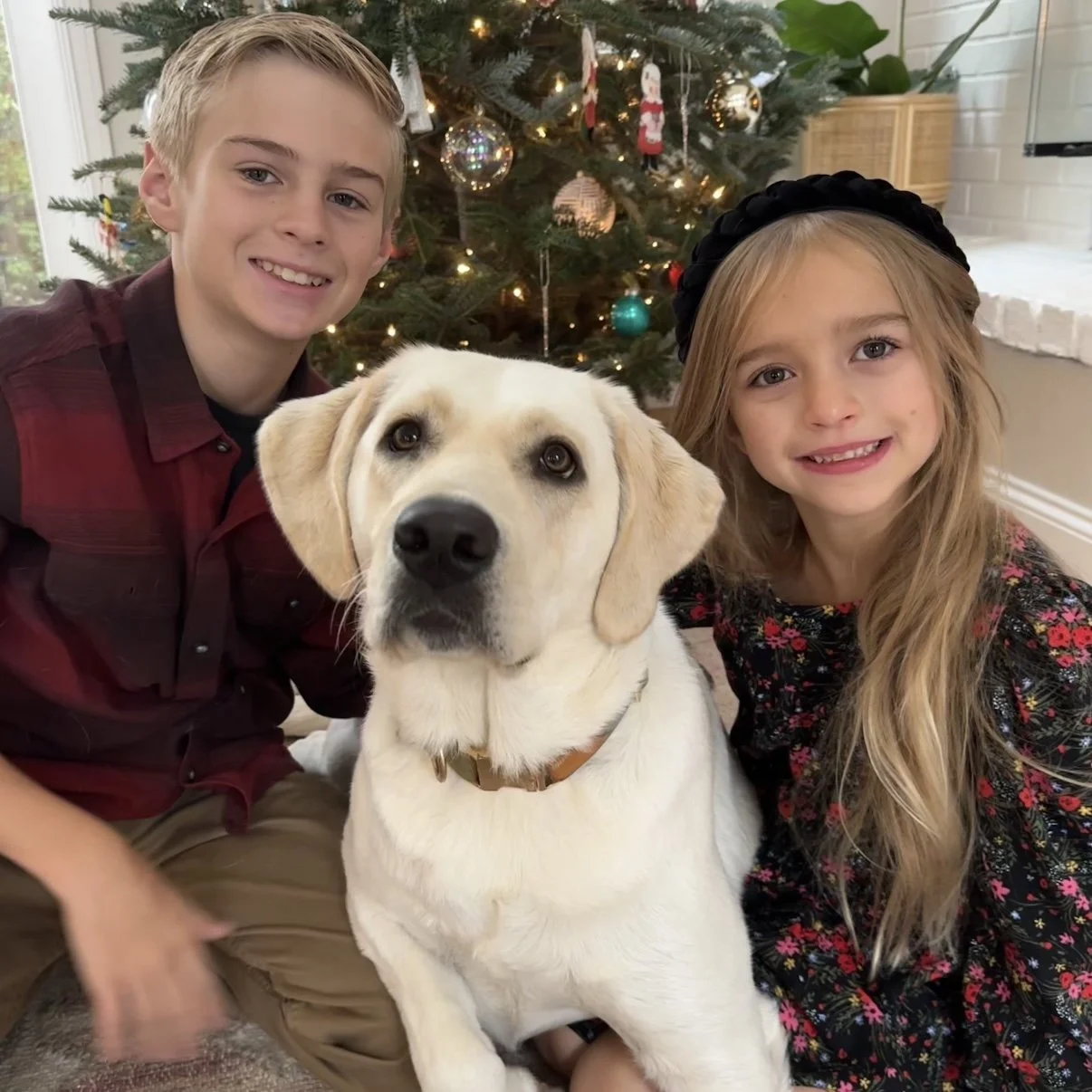 Well behaved with children