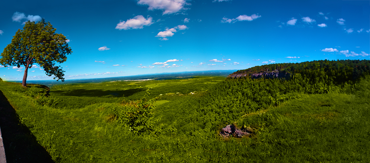 Untitled_Panorama1.jpg