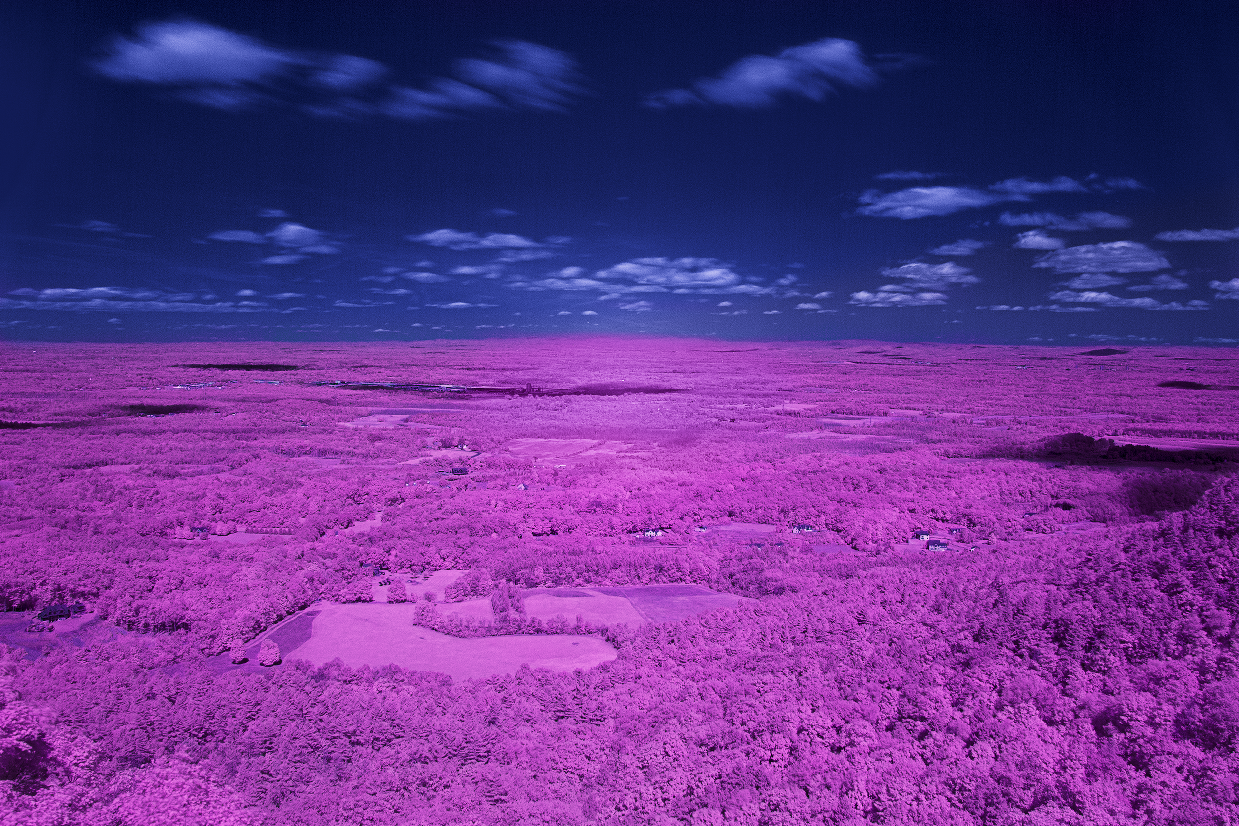 if1.png