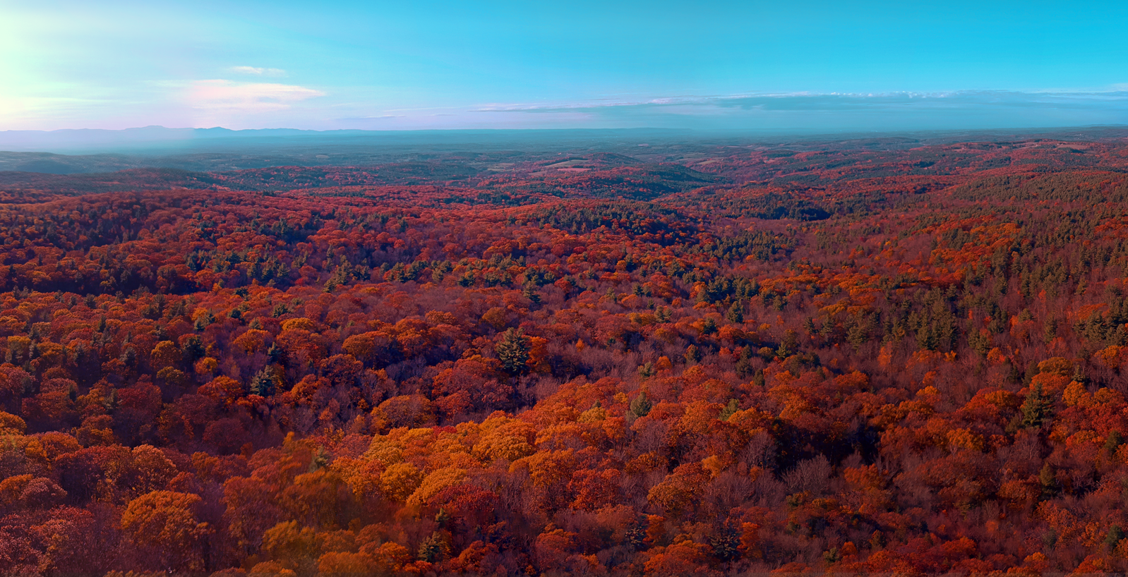 Untitled_Panorama1.png