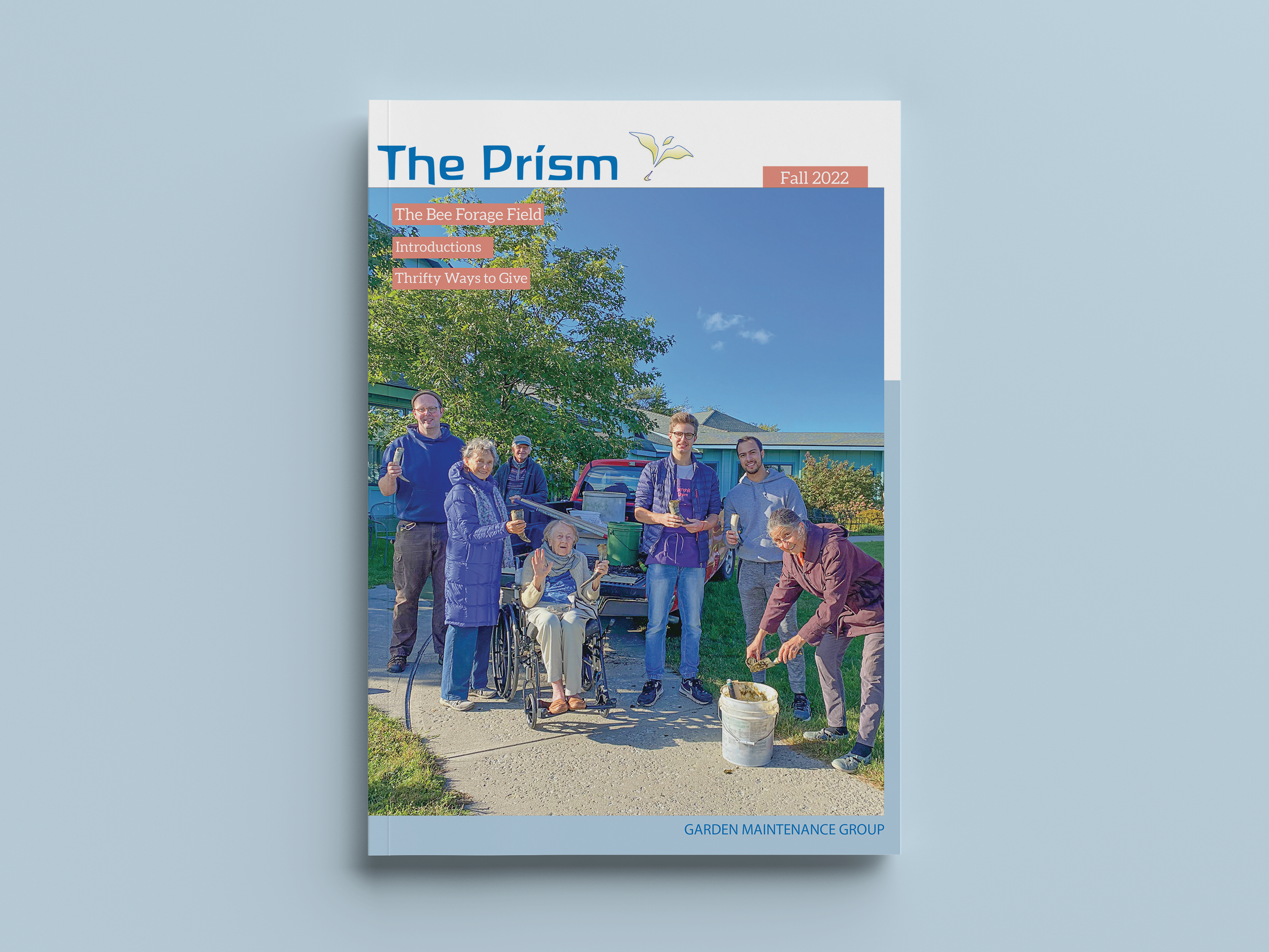 Newsletter 7.png