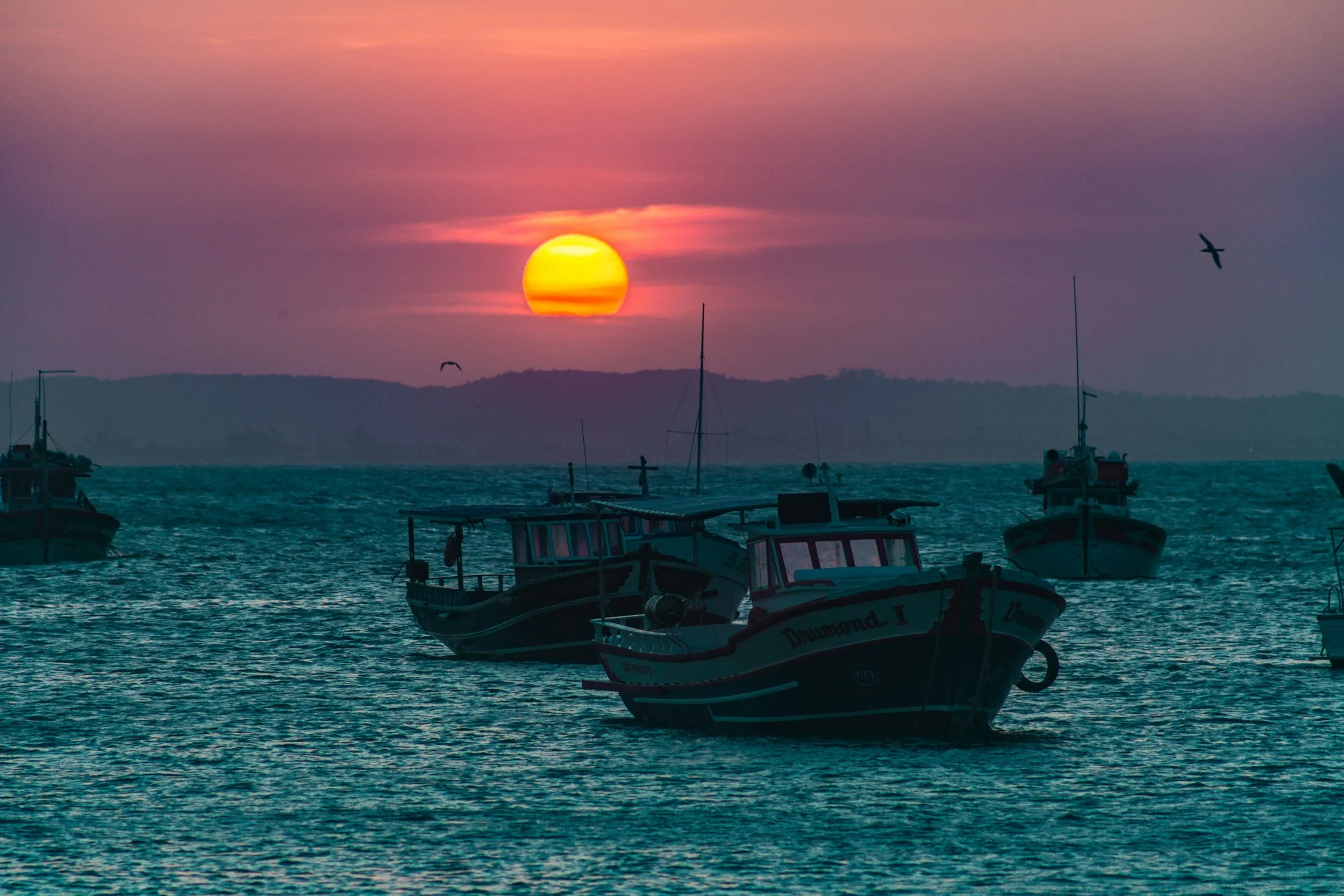 unsplash-image-oOFN-dSZRaE.jpg