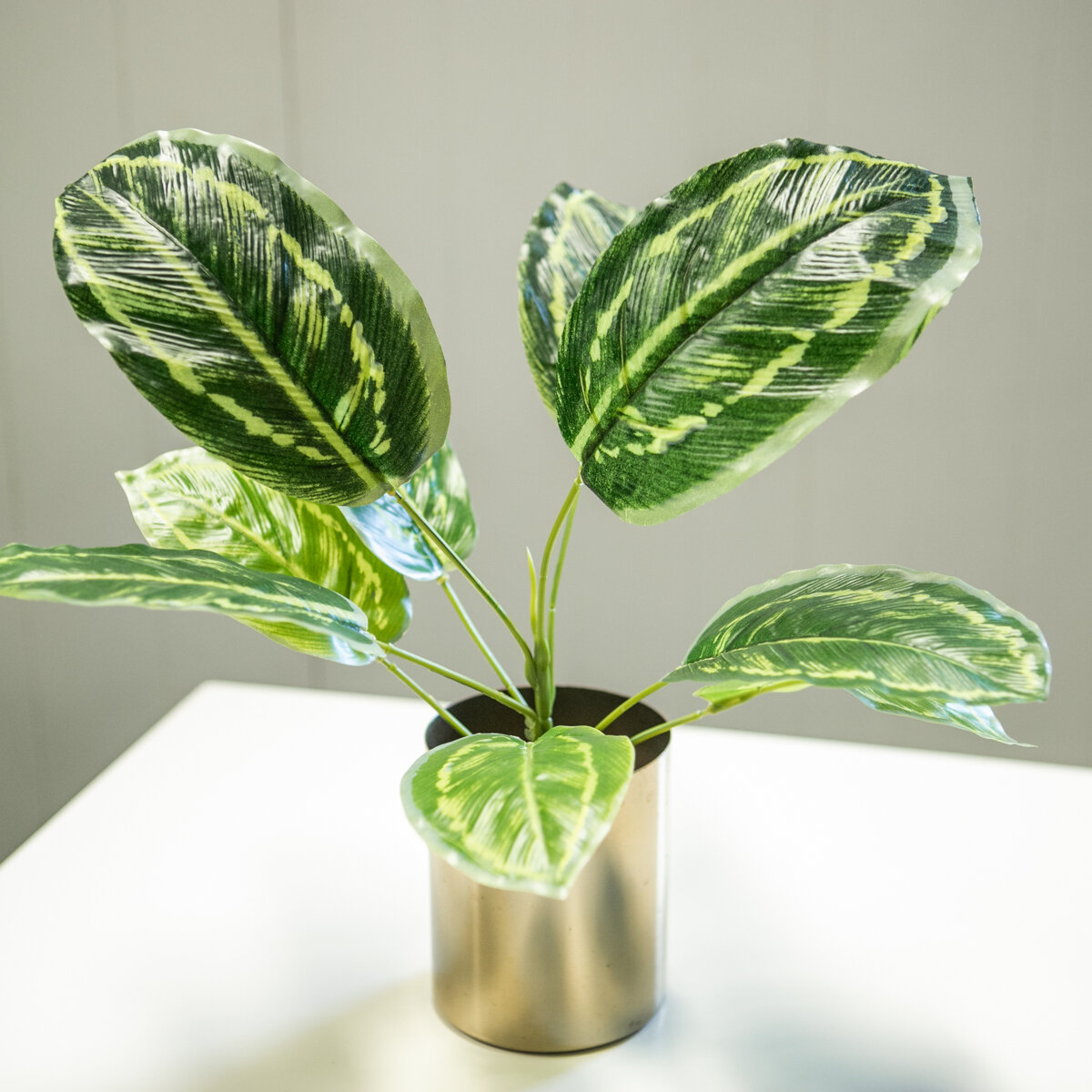Faux 'White Star' Plant
