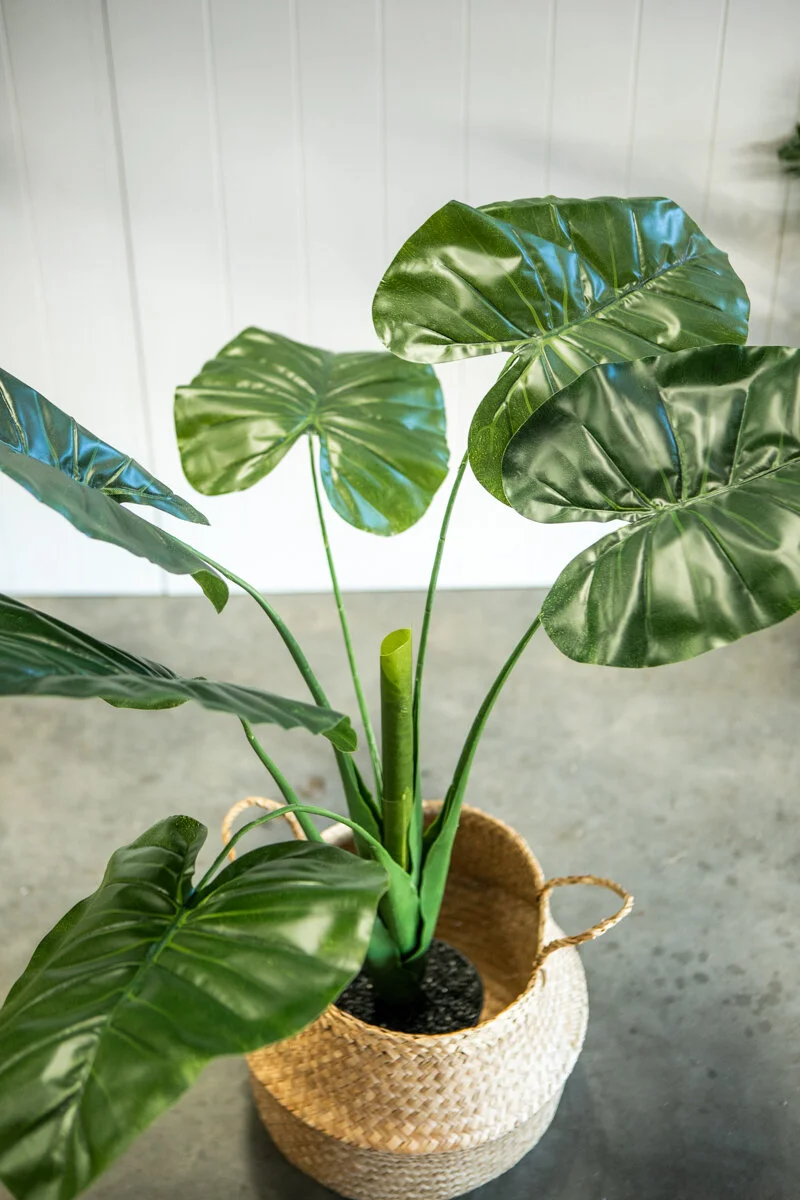Artifical_Plant_-5.jpg