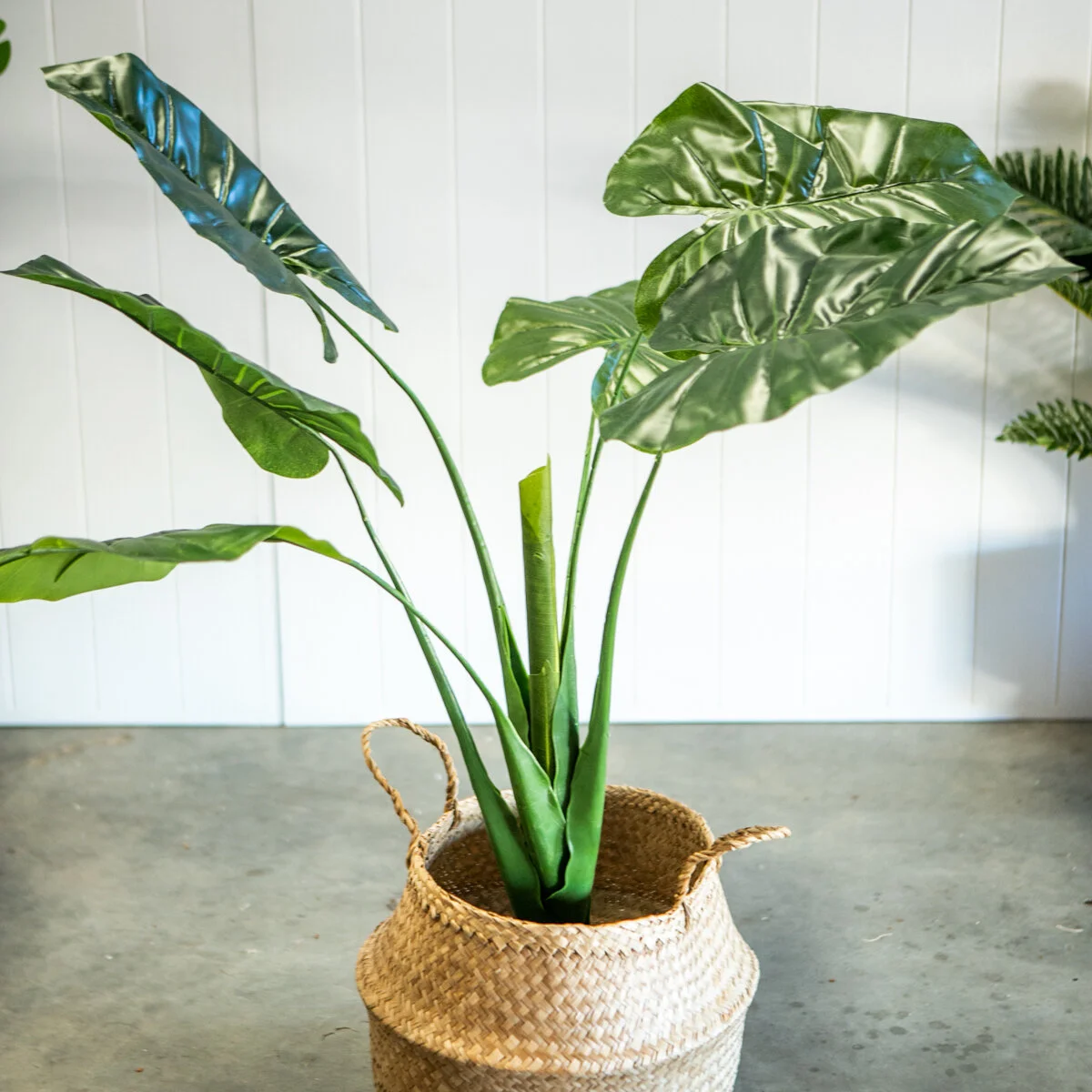 Artifical_Plant_-3.jpg