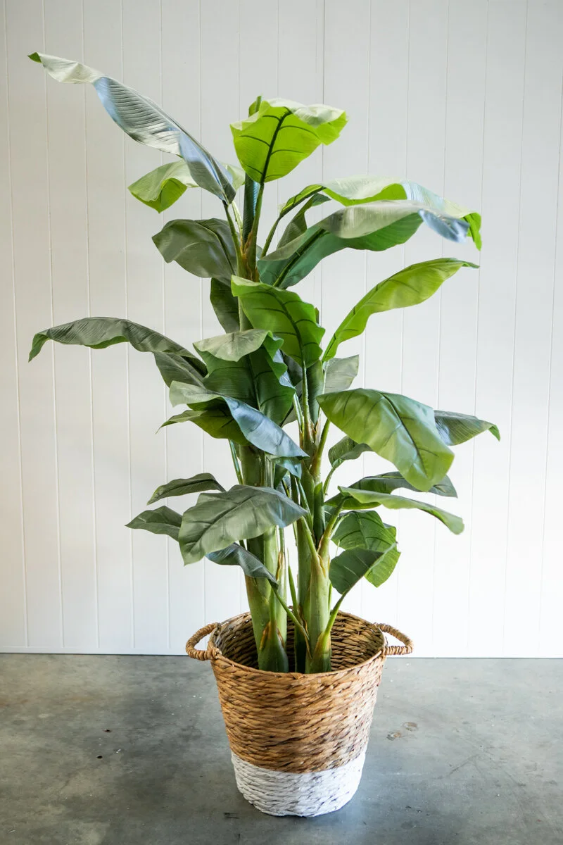Artifical_Plant_Bannan_Leaf.jpg