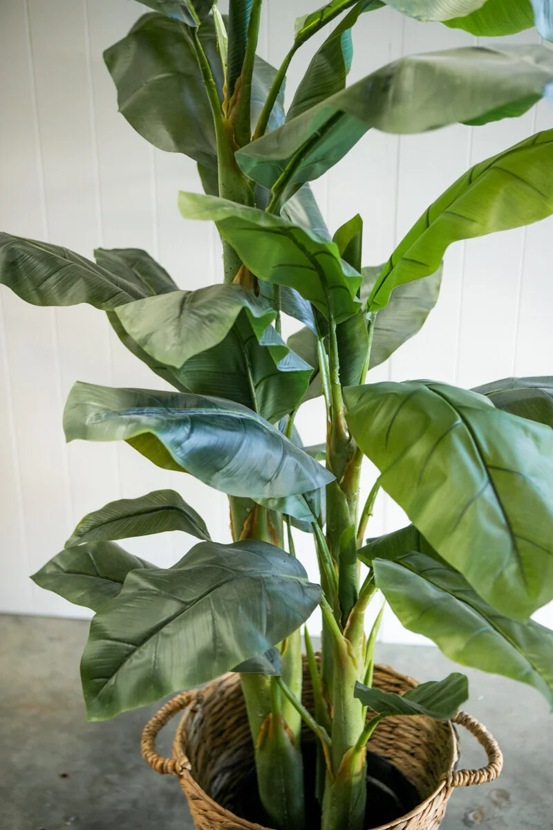 Artifical_Plant_Bannan_Leaf-2.jpg