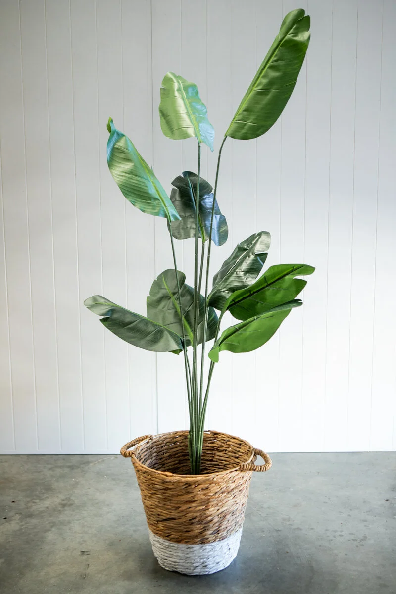 Artifical_Plant_Birds_of_Paradise_tree.jpg