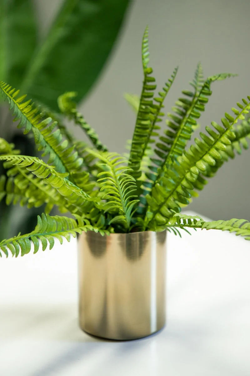 Artifical_Plant_Fern-2.jpg
