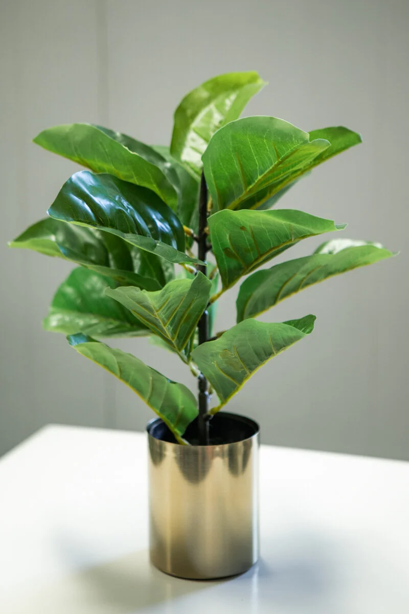Artifical_Plant_fiddle_leaf.jpg