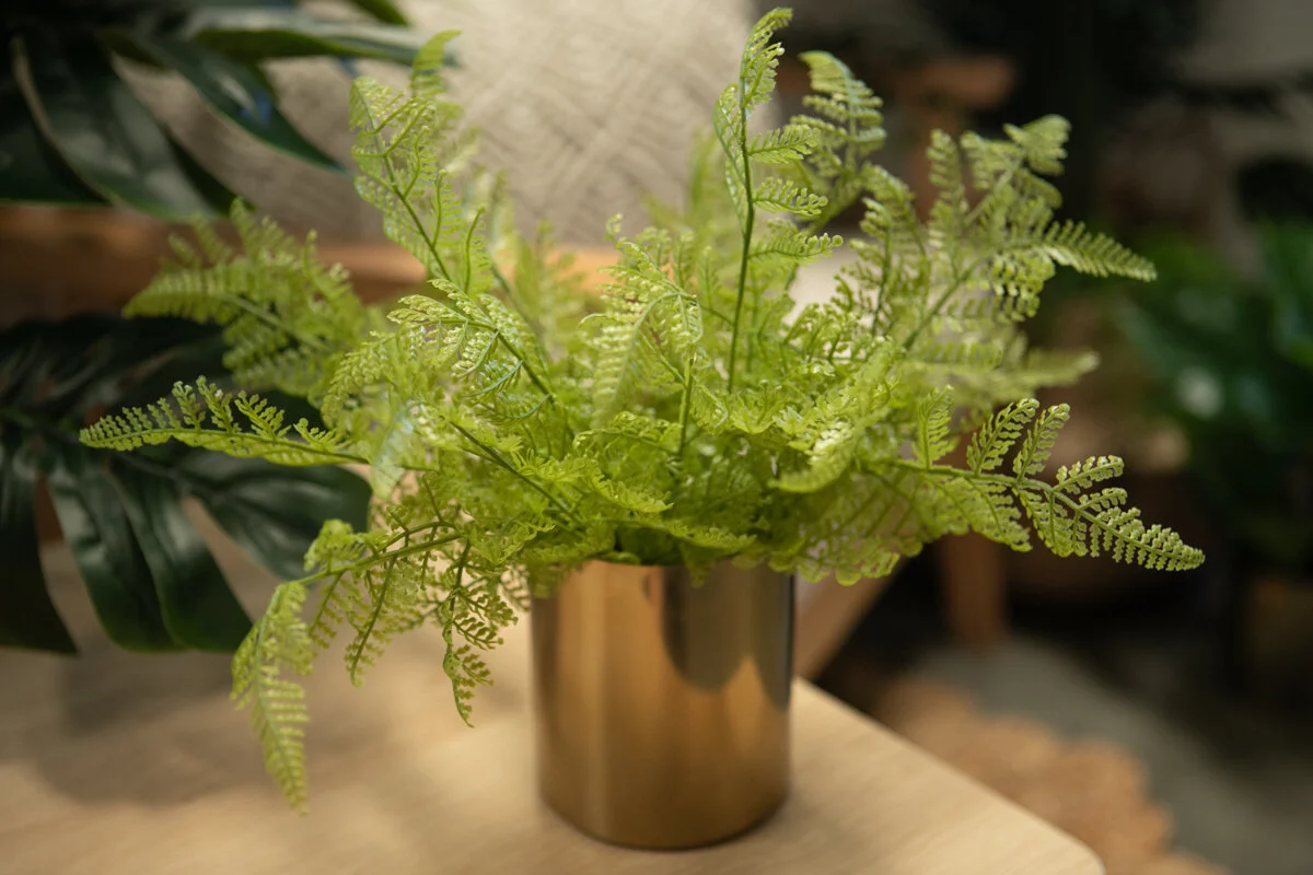 Faux 'Maiden Hair Fern' Plant