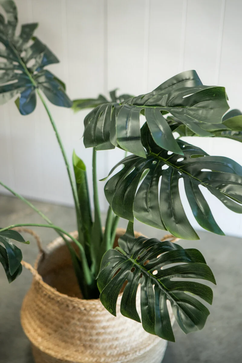 Artifical_Plant_Monstera_palm-3.jpg