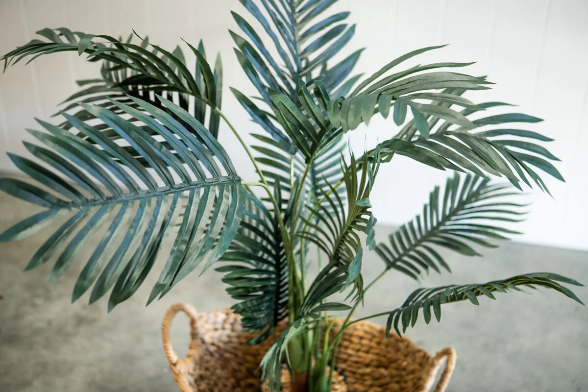 Artifical_Plant_Palm-3.jpg