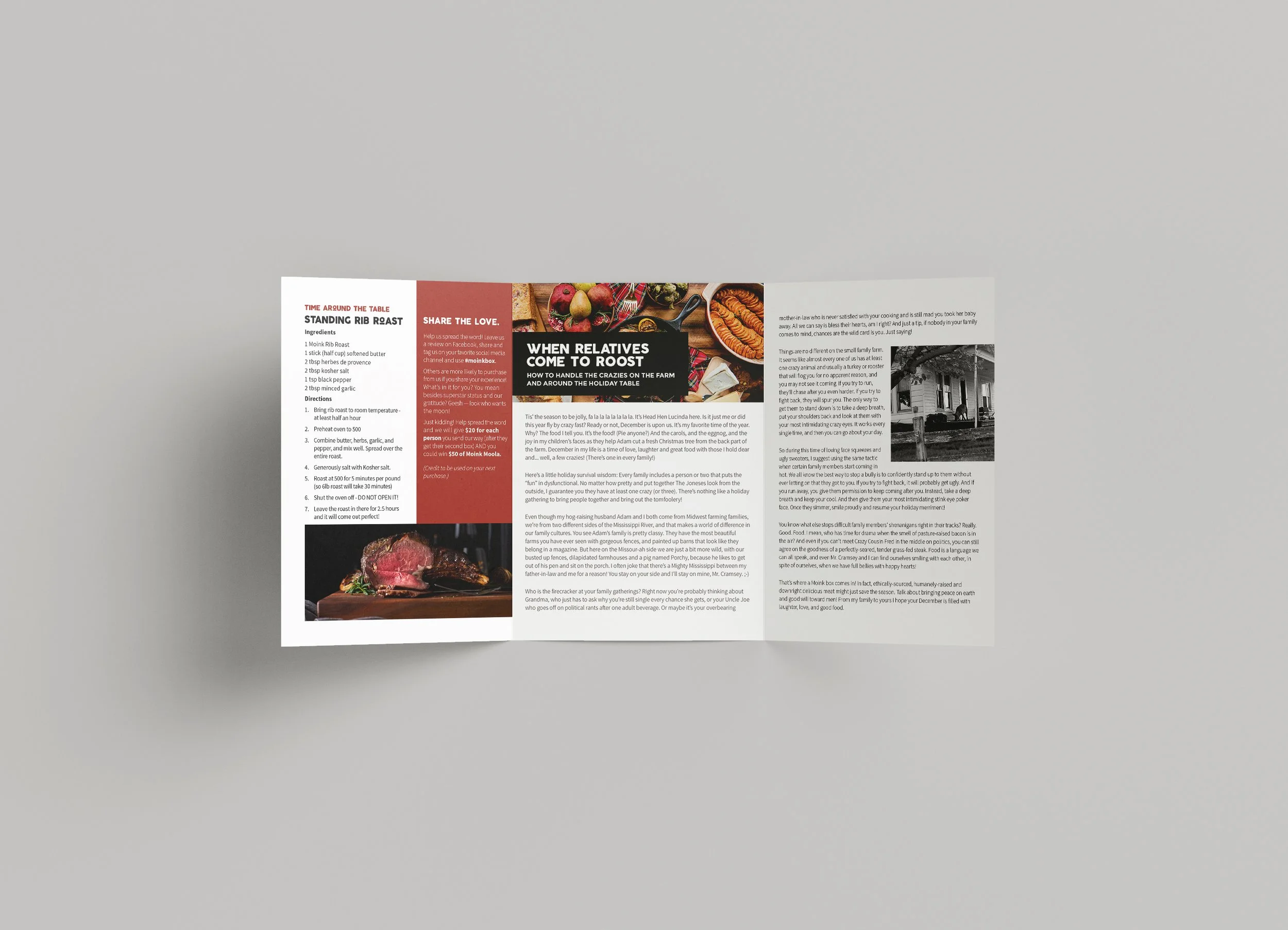 brochure02b.jpg