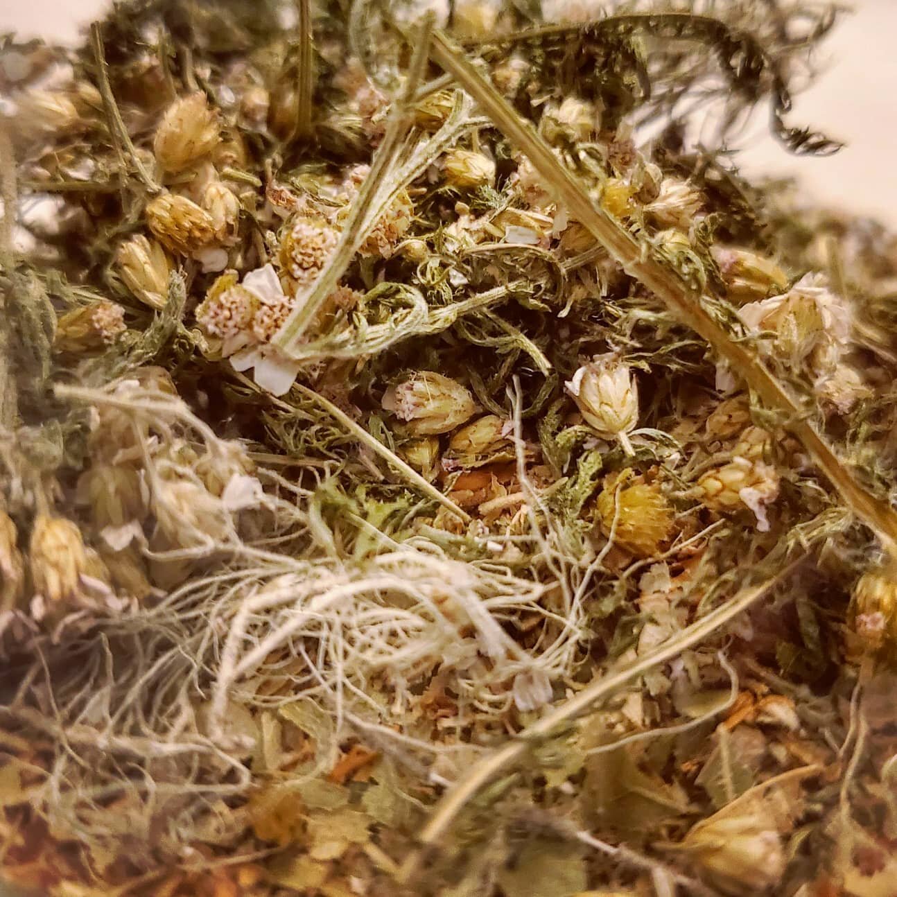 It only takes a moment to appreciate the art of nature and to see the magick of the elements.

When I mix a herbal infusion, I can't help but marvel at how so much medicine and beauty can be bundled in one cup. Witnessing earth dance with water, form