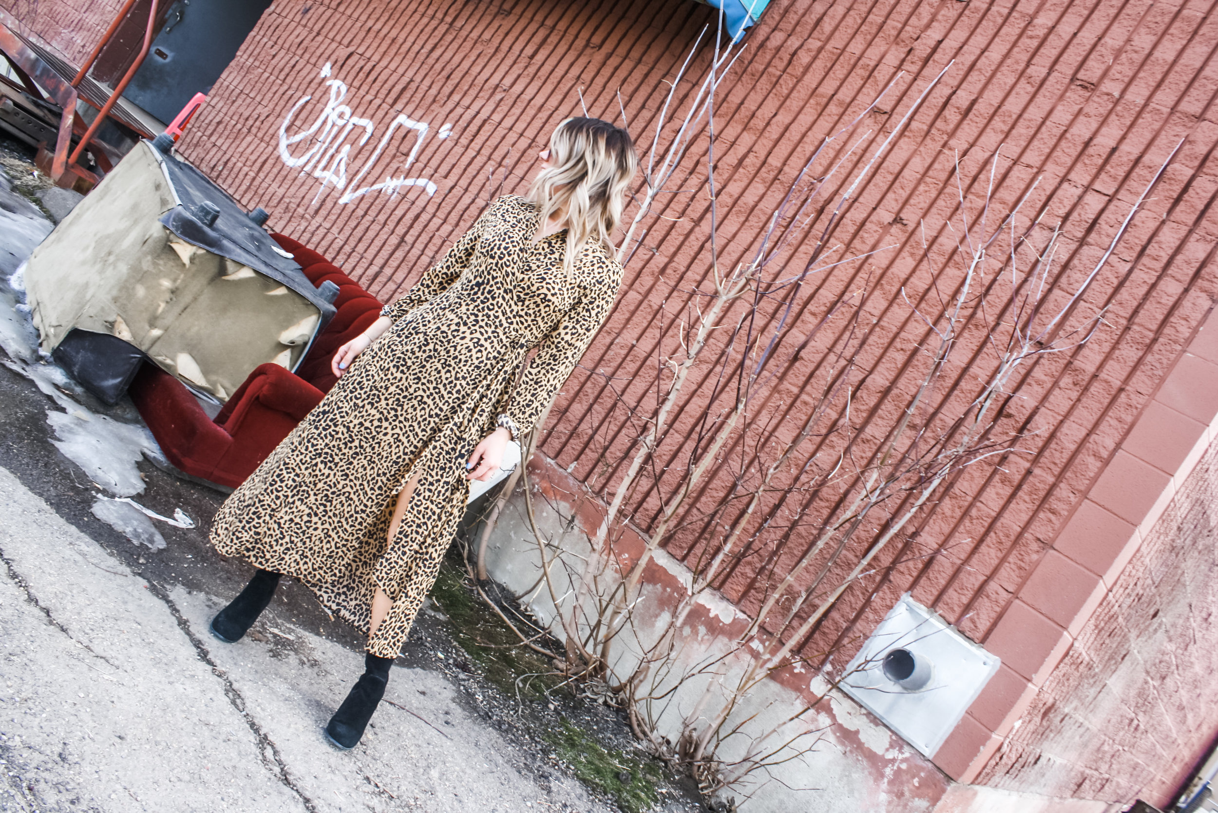 Leopard Wrap Dress