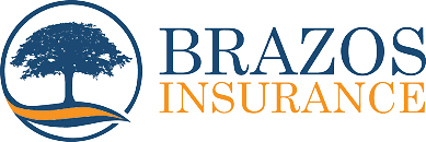 https://brazosinsuranceagency.com/