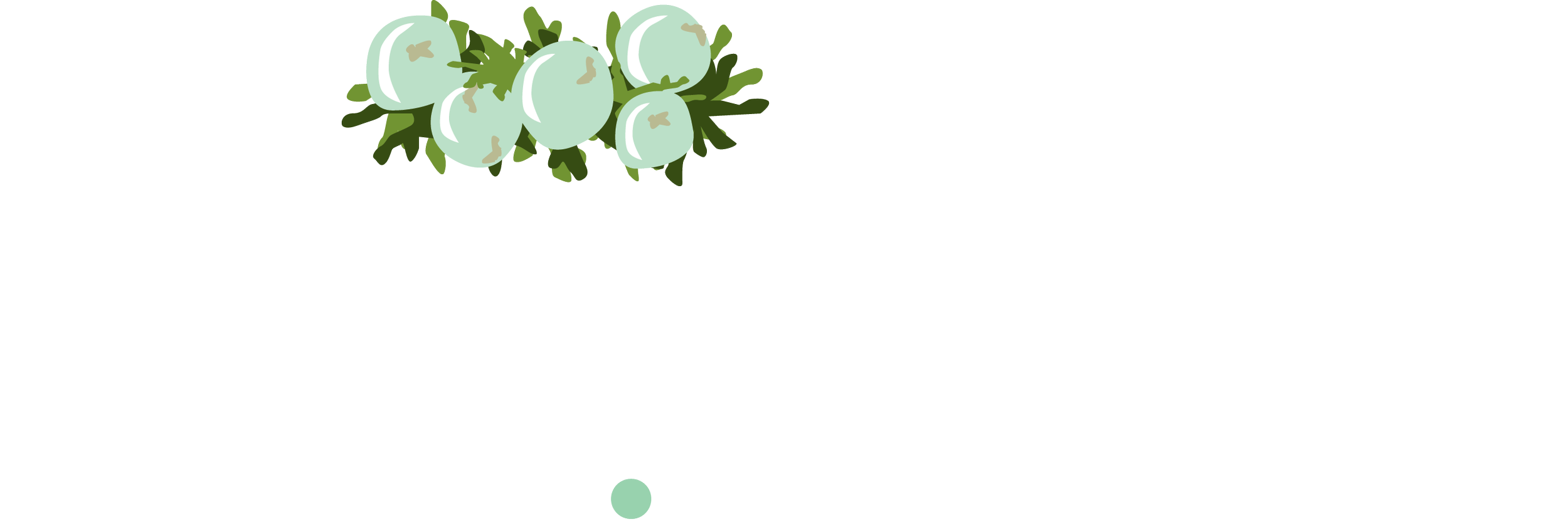 WILDGINS Logo_white.png