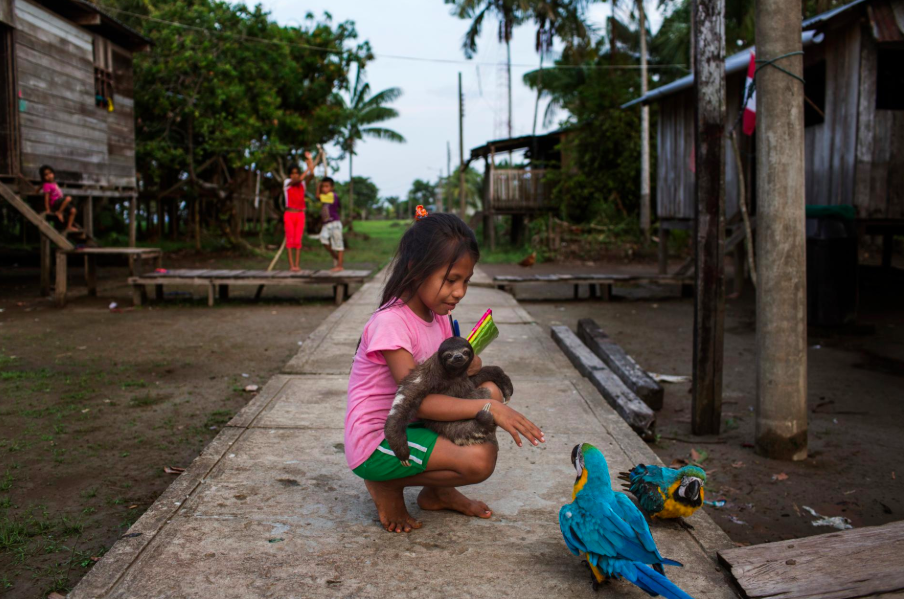 Screen Shot 2019-05-14 at 8.54.19 PM.png