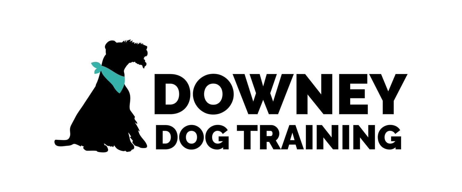 Downey Dog Training