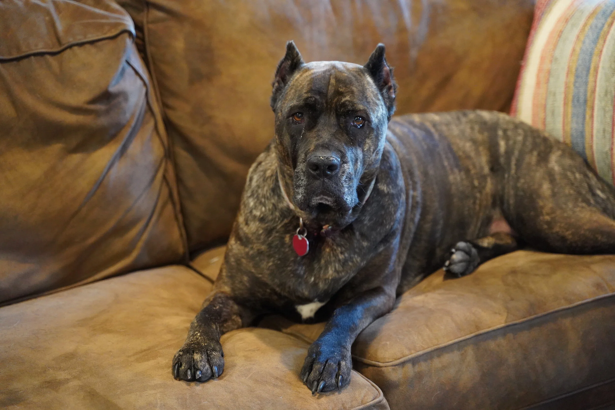 Reese says " My dad builds loud amps"!