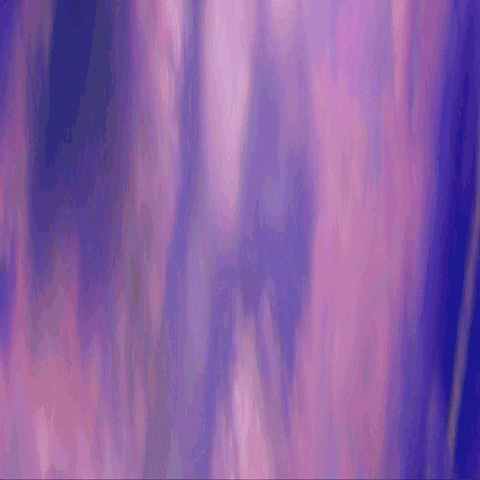 giphy (1).gif