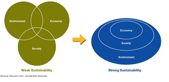 weak-strong-sustainability.jpg