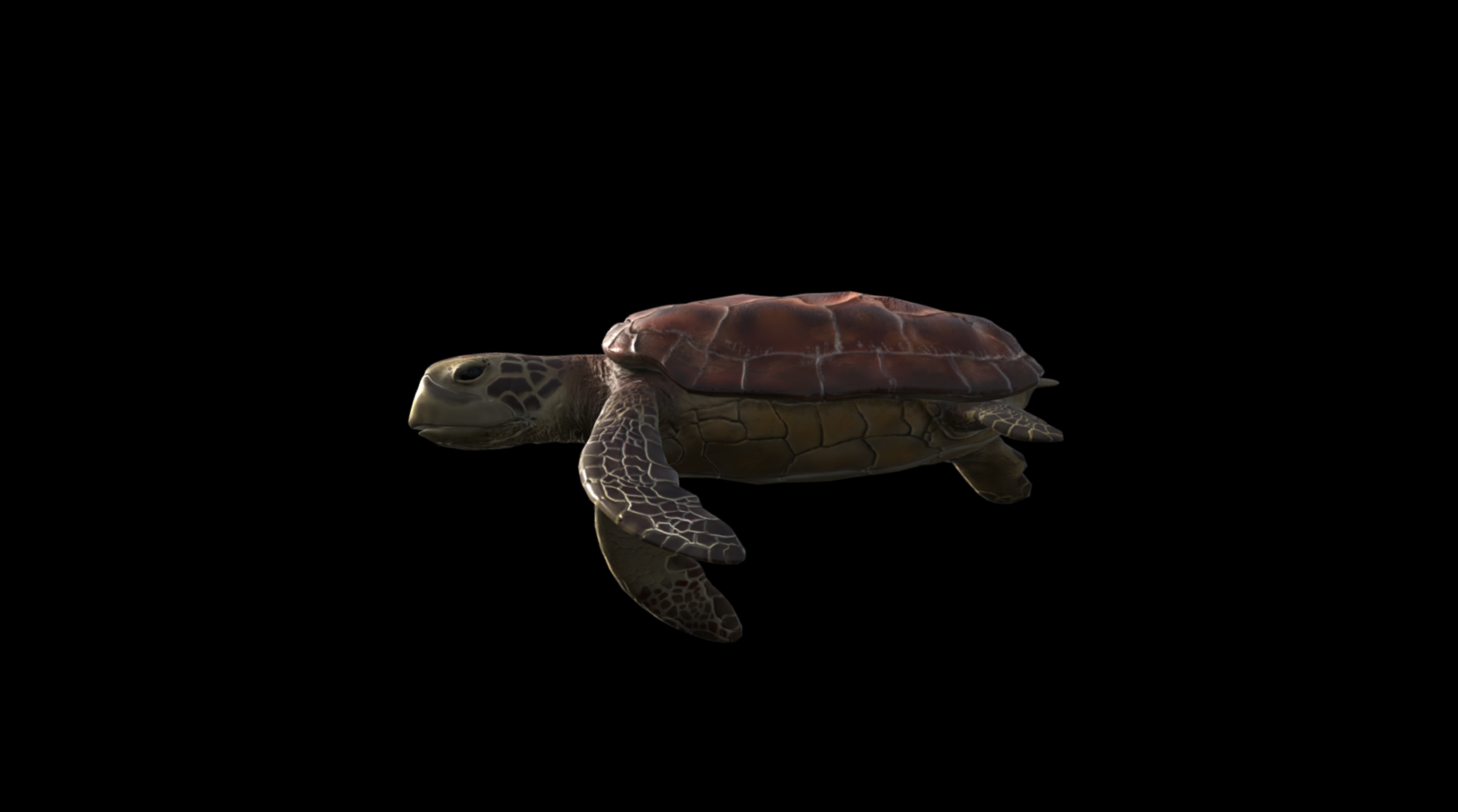 IVORY - SEA TURTLES