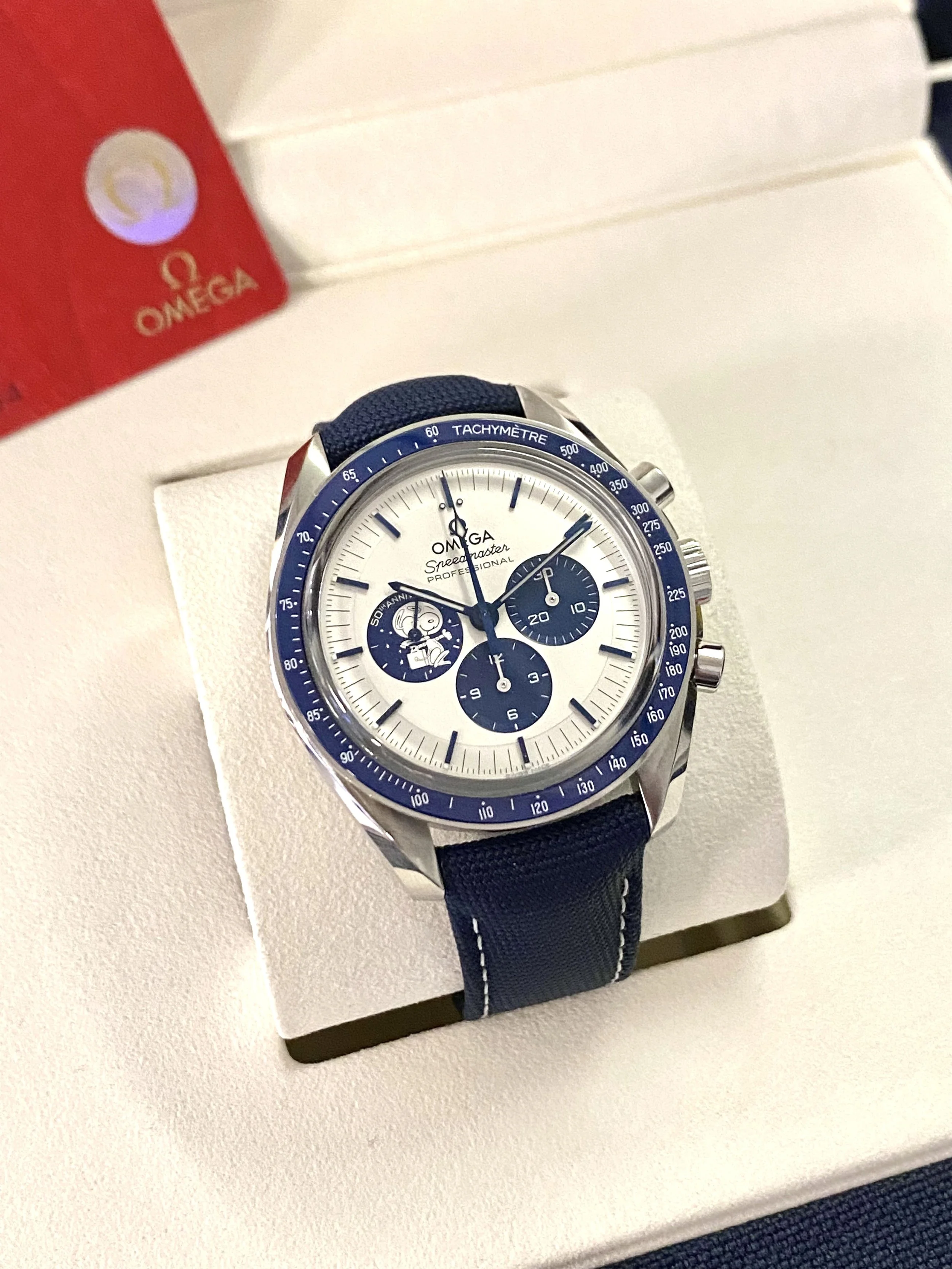 snooannd.jpg (Copy) (Copy)