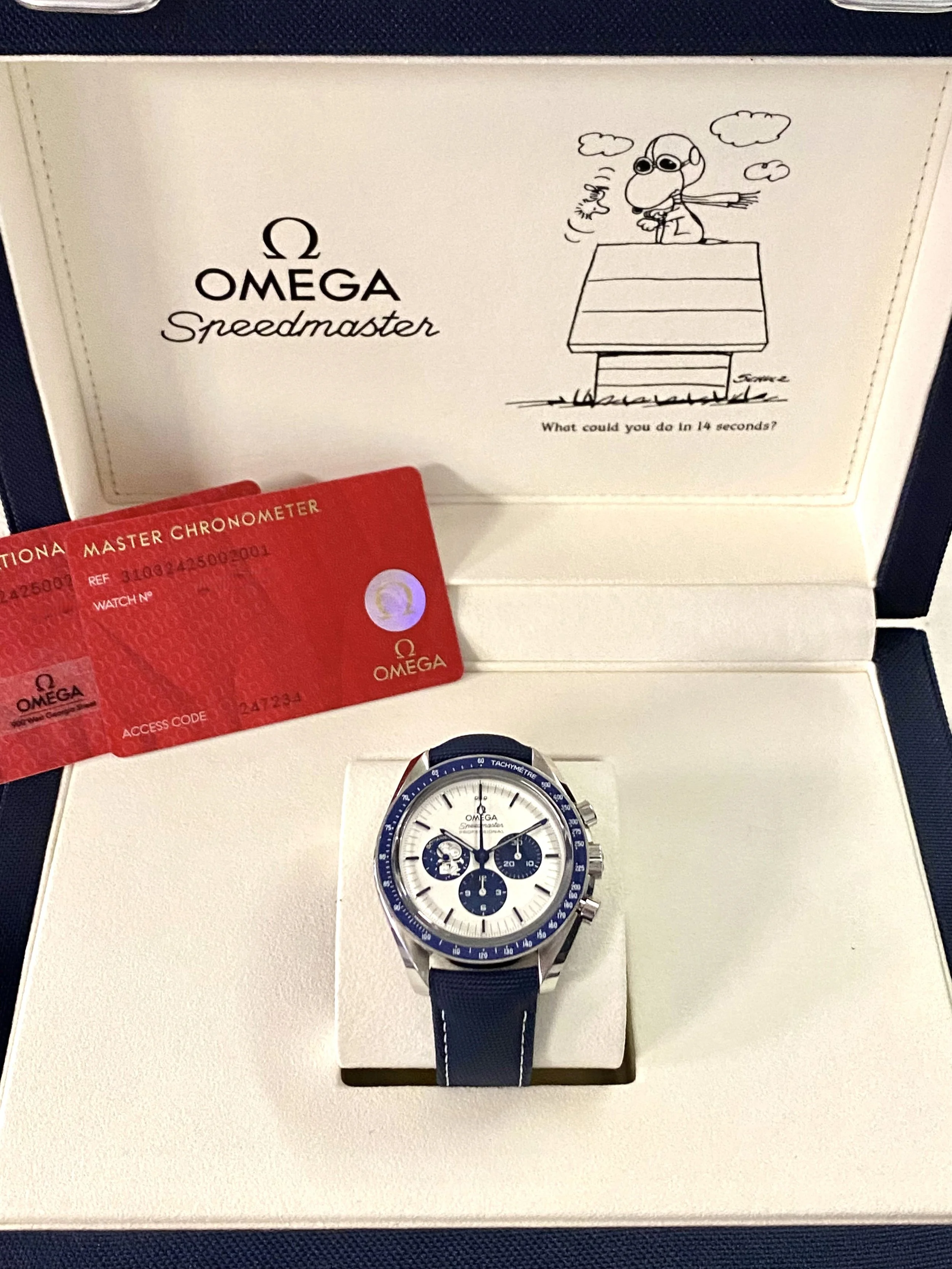 snoopap.jpg (Copy) (Copy)