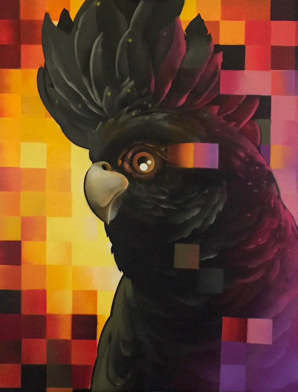 cc-cherubino-blackcockatoo.jpg
