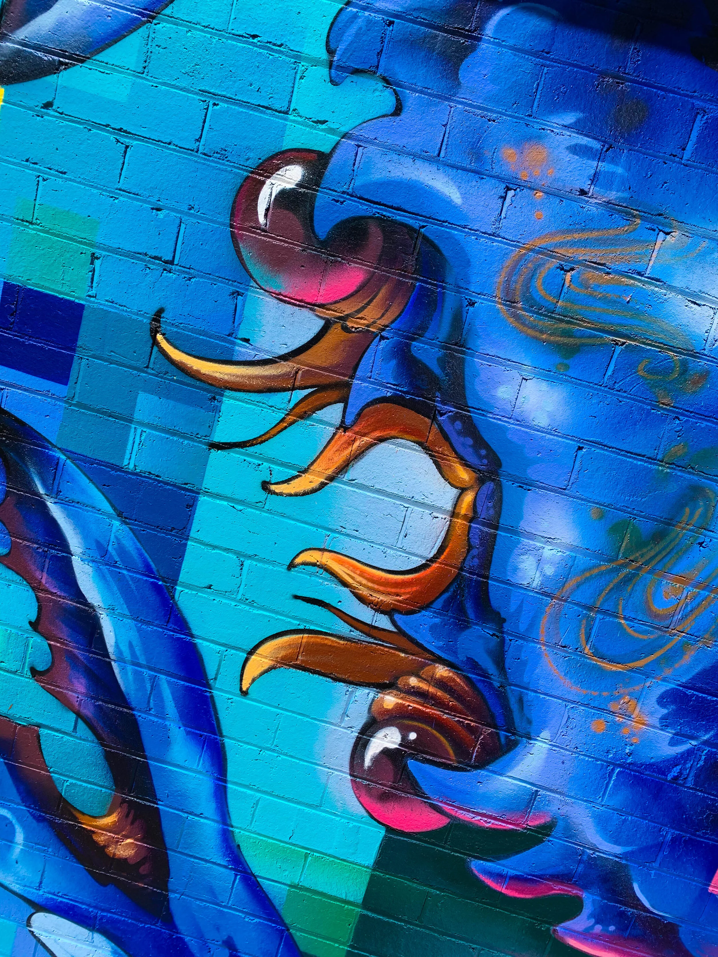 crab close up.jpg