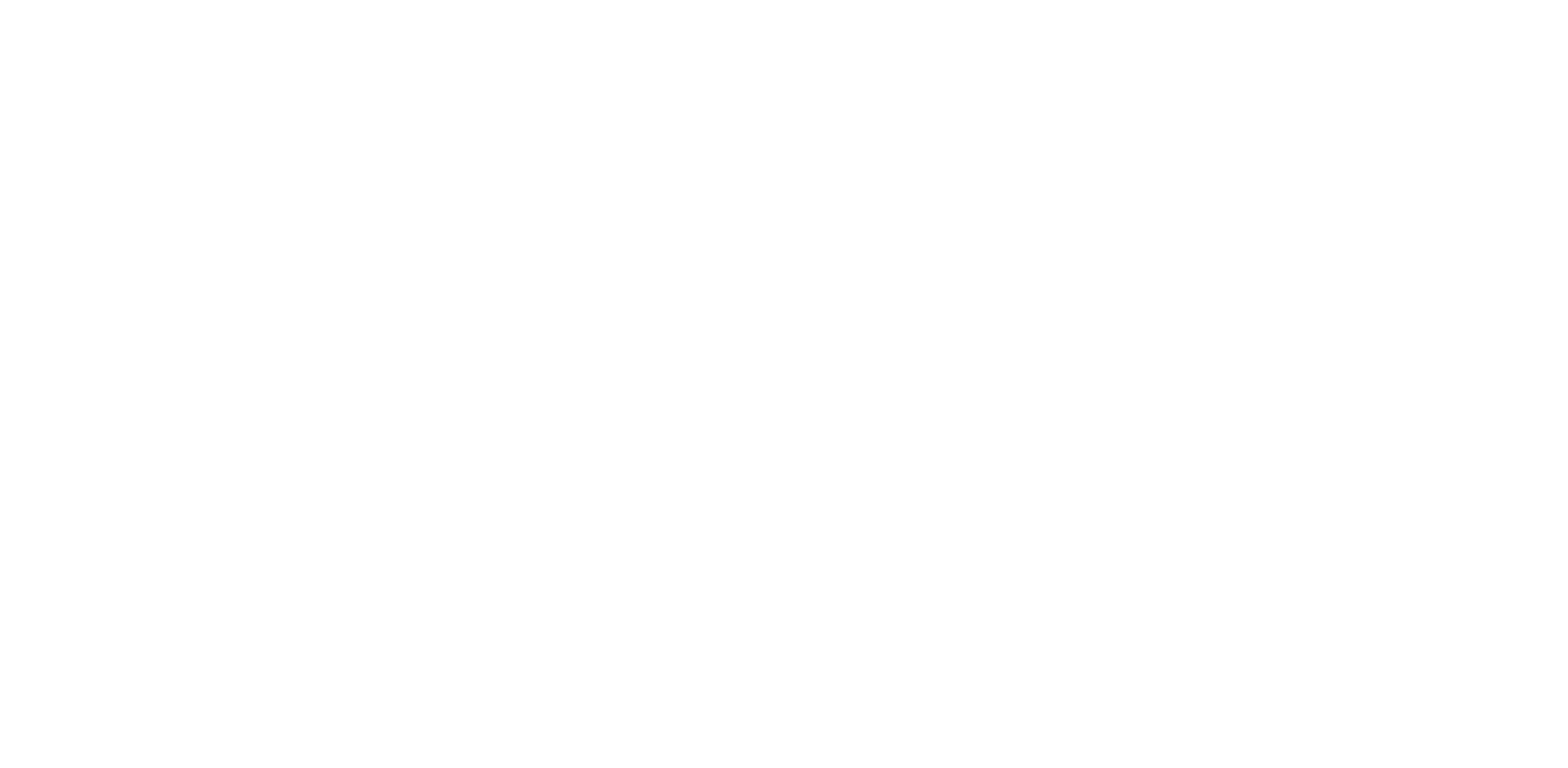 Caroline Lermer Testimonial for Sessions .png