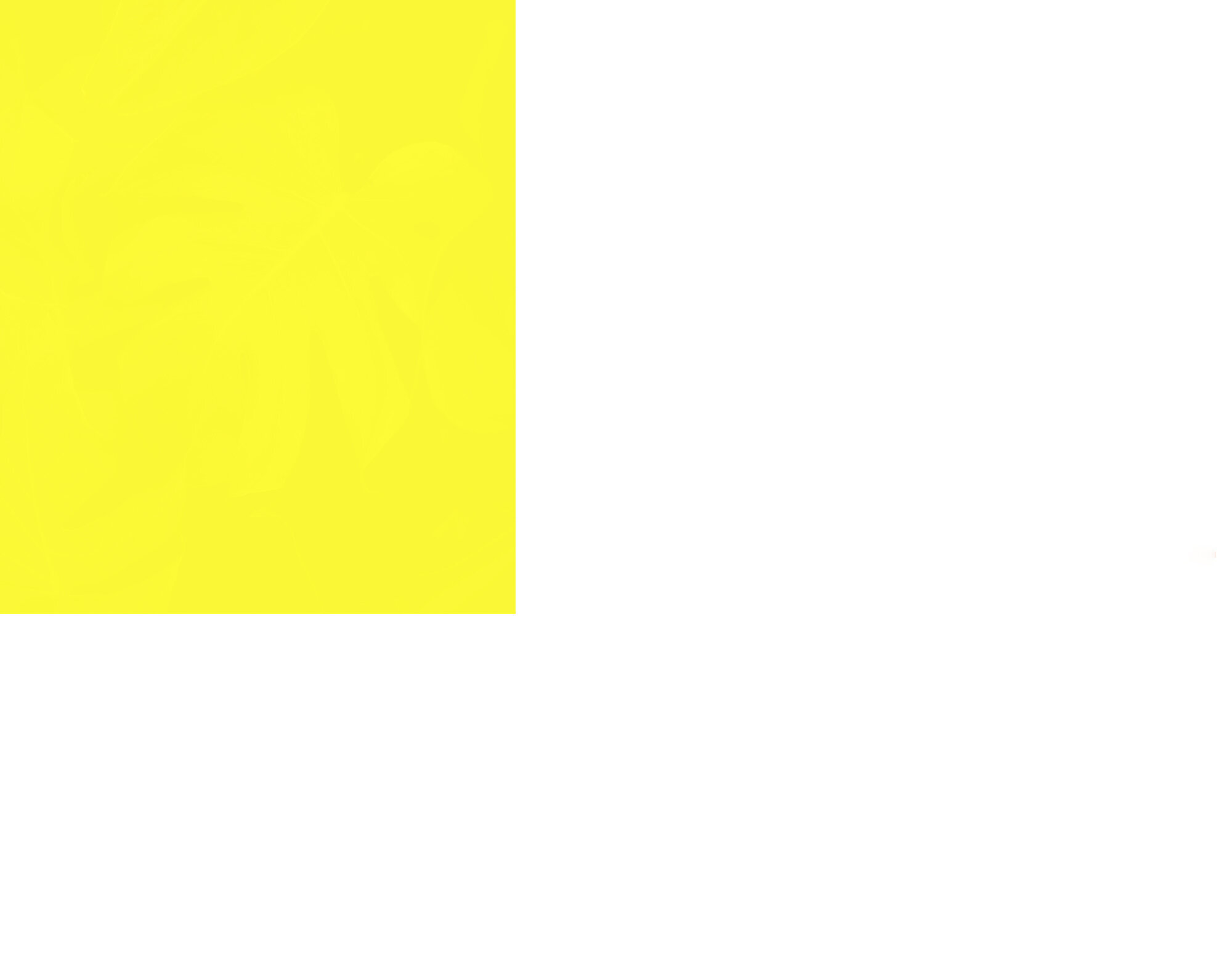 Banner_gelb.jpg