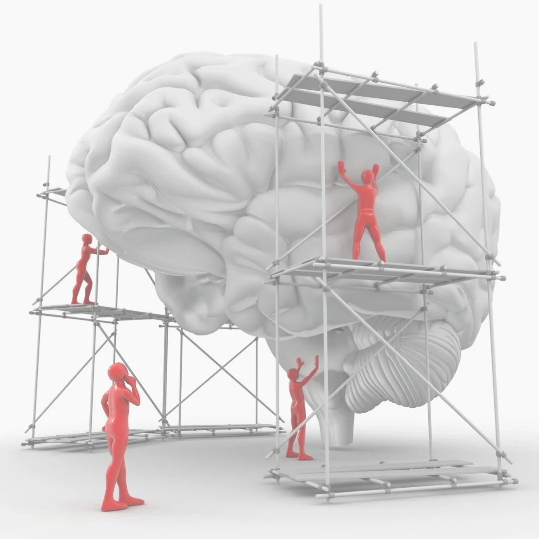 Brainpower: Why exercise can improve your mind.