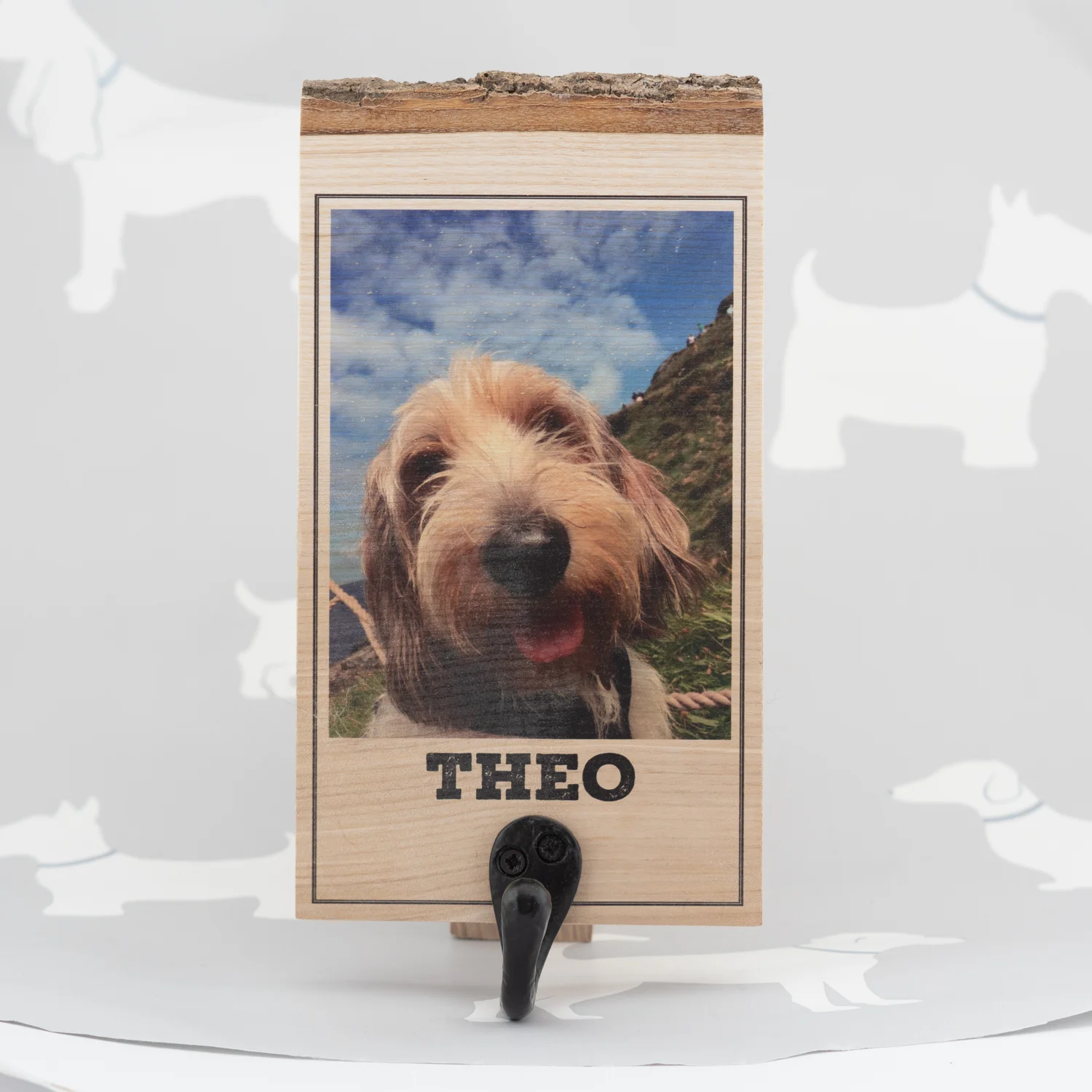 Sugar Shed: Personalised