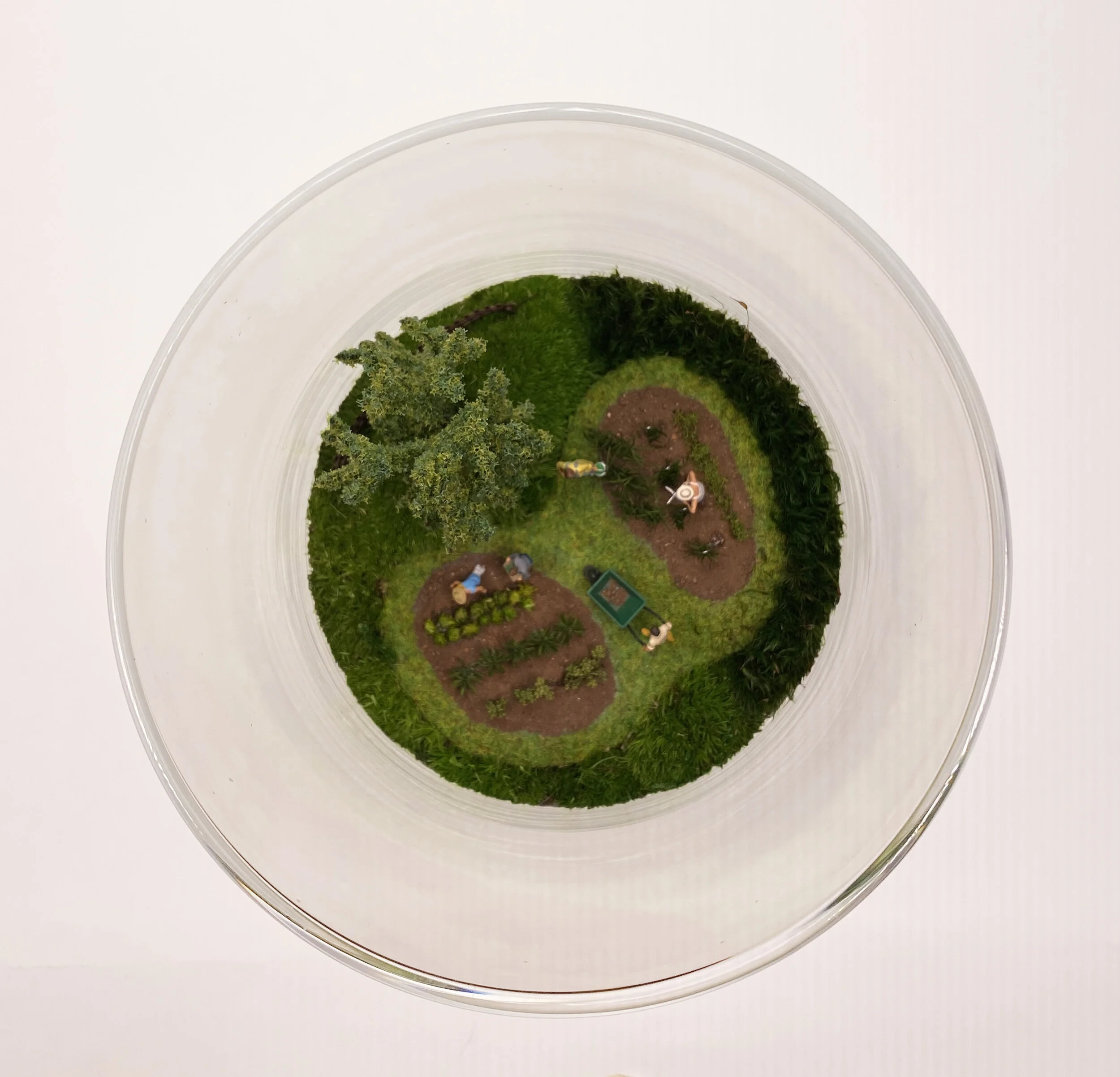 3520-vegetable garden from TOP.jpg