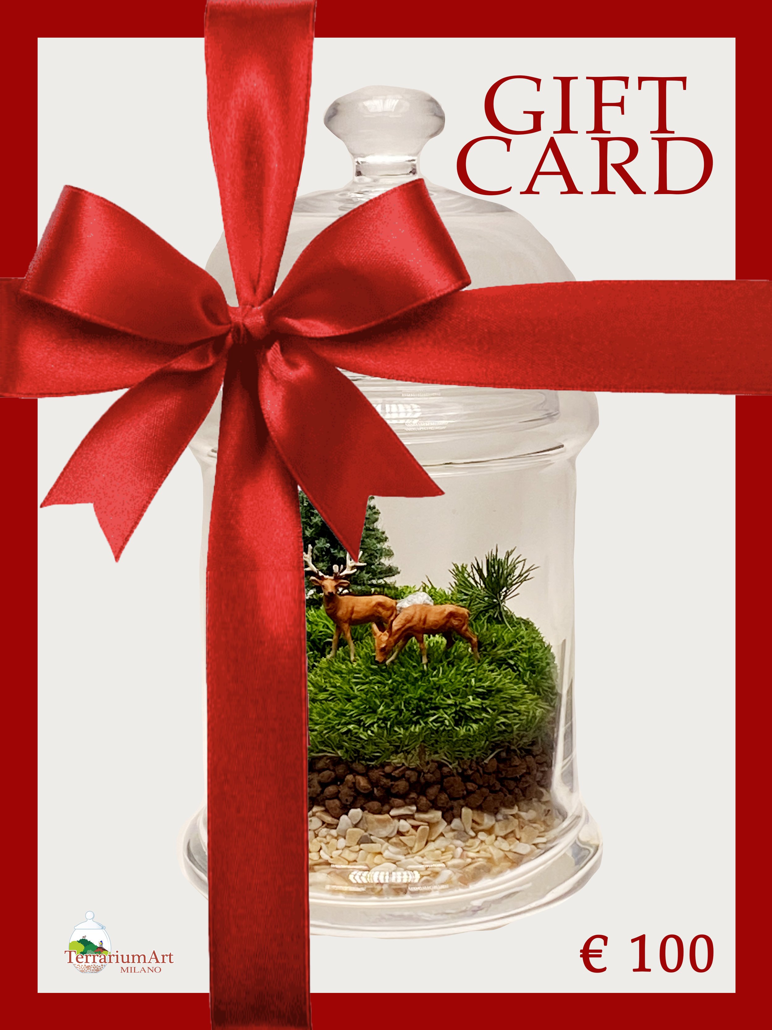 GIFT CARD  €100