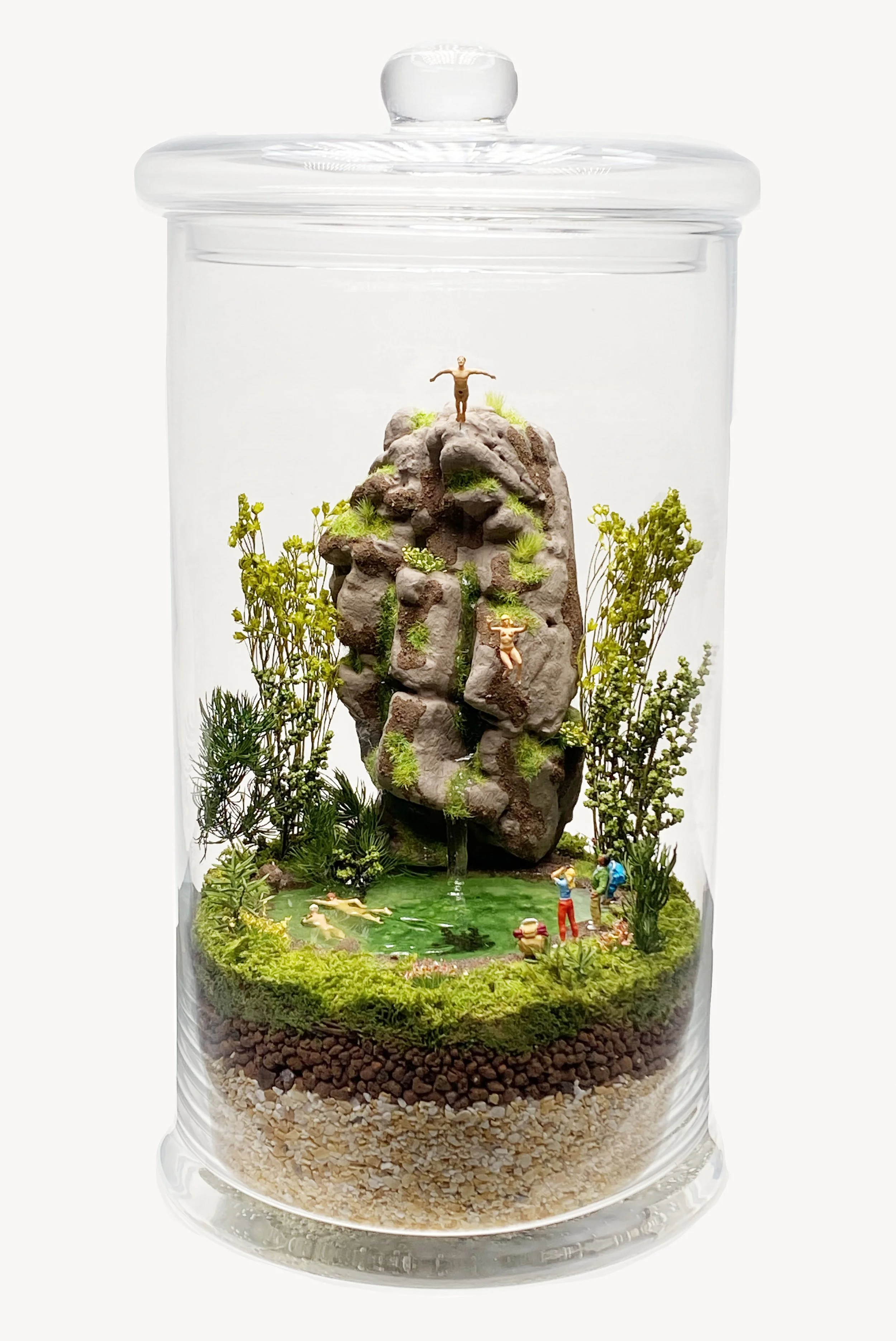 3525-jungle front copia.jpg