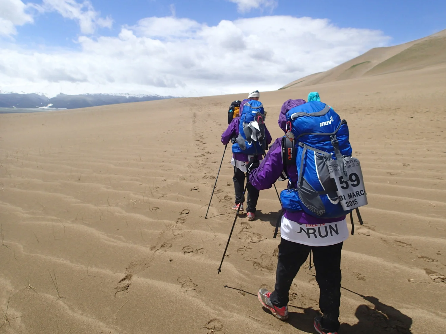 HP F2R Gobi March 2015.jpg