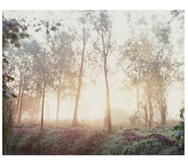 If ever I start to feel panicky about the current situation, one look at Steve MacLeod&rsquo;s &lsquo;We two together&rsquo; 2009 from his Blackwater series, makes me feel a lot calmer. I hope you find serenity and peace in this meditative image too?