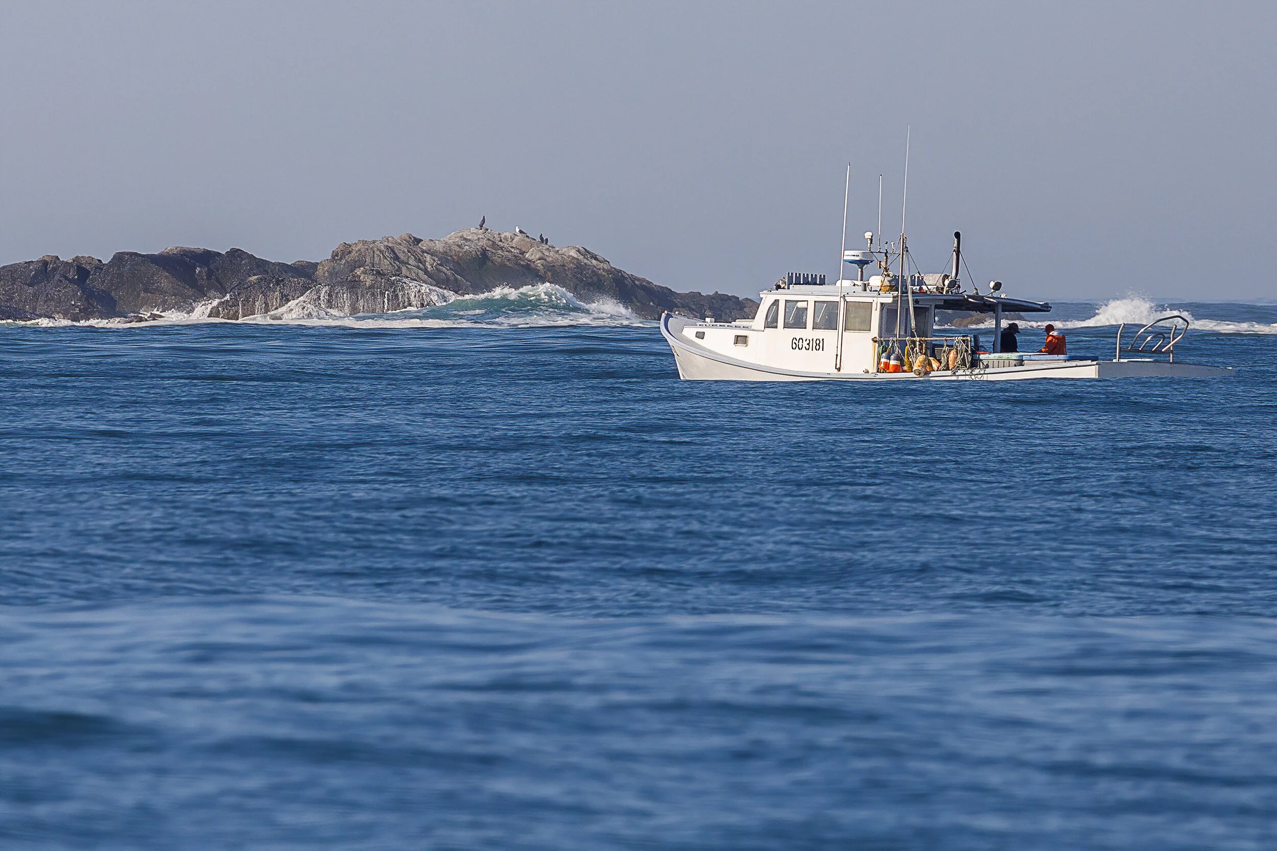 Sachuest - April 25, 2020