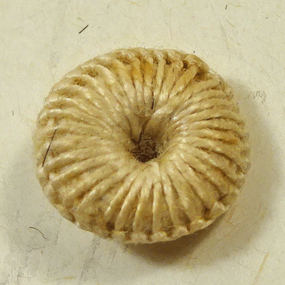 Small linen wound buttons